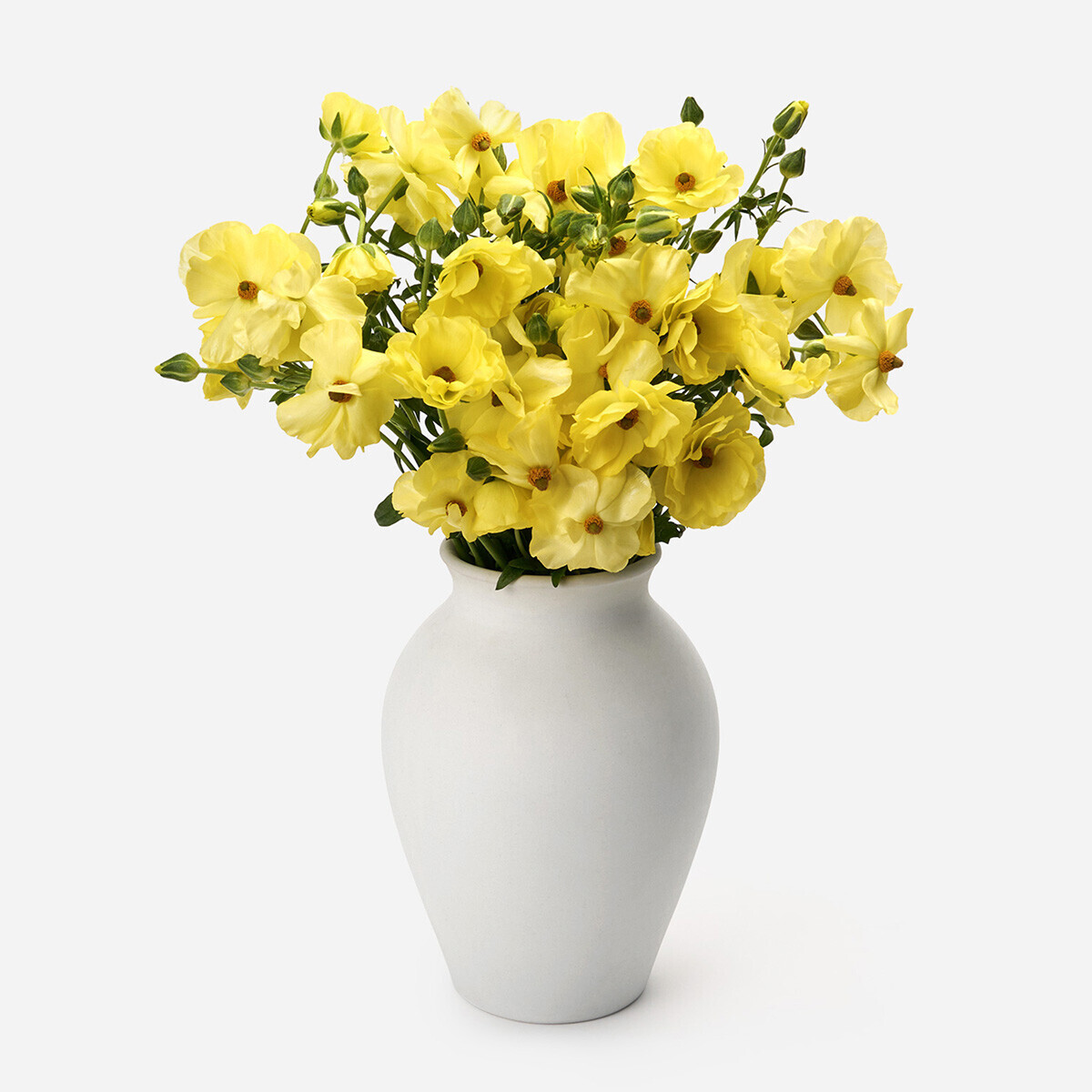 버터플라이 노랑 5대