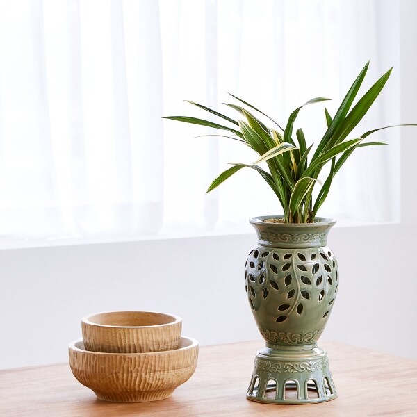 꽃집청년들,태양 청자버들투각(서울)