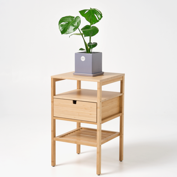 꽃집청년들,몬스테라 모던라인 미니