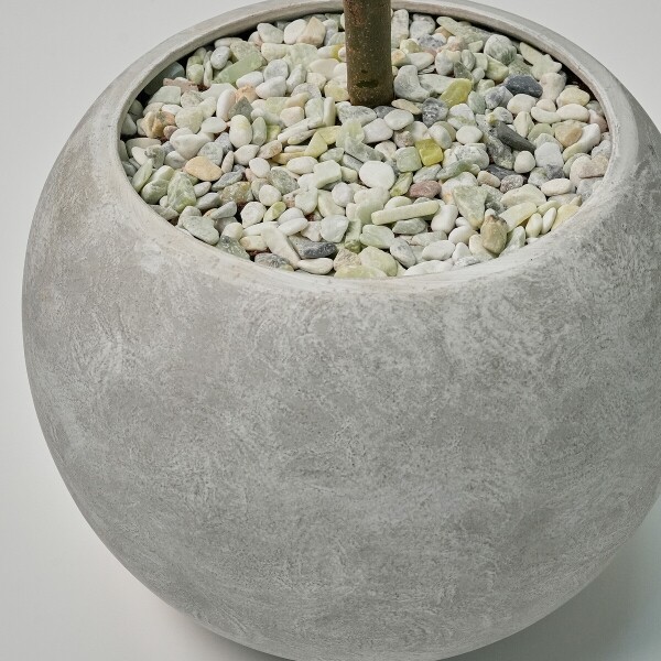 꽃집청년들,올리브 2호(서울한정)