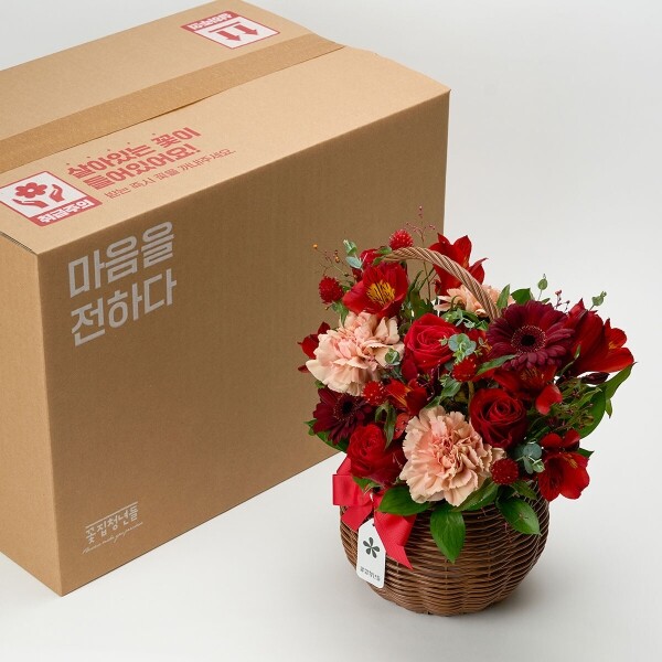 꽃집청년들,레드 베이스