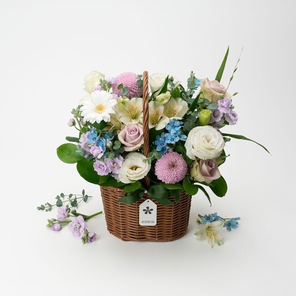 꽃집청년들,퍼플 브리즈