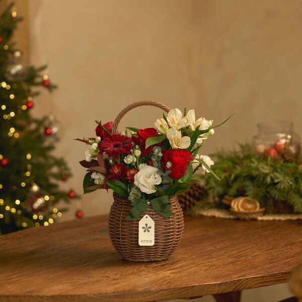 꽃집청년들,X-mas 메리 레드