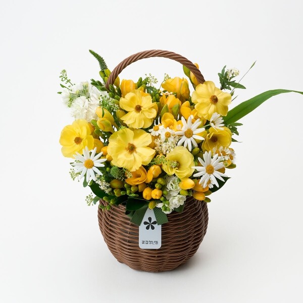꽃집청년들,화이트데이 프리지아 꽃바구니+사탕