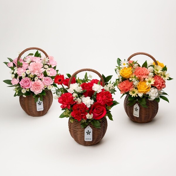 꽃집청년들,어버이날 계절마음