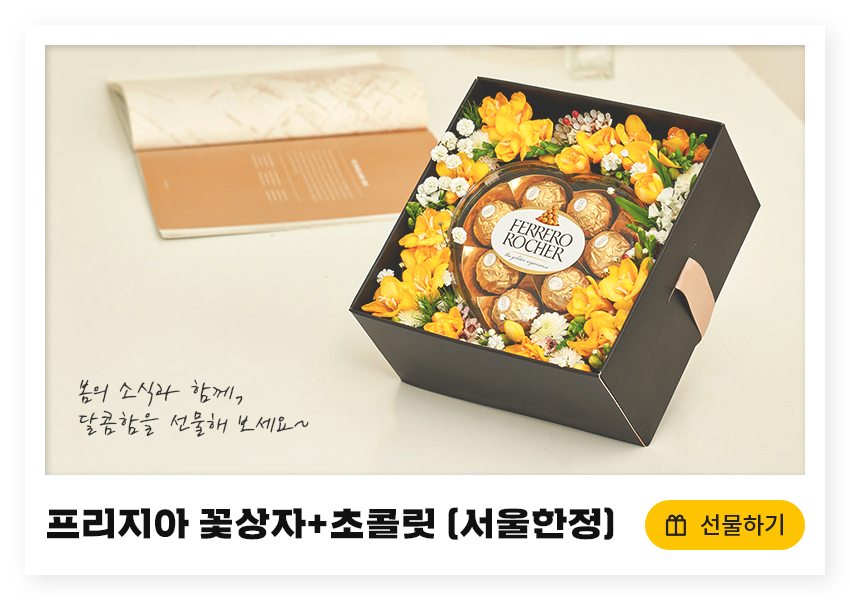 프리지아 꽃상자 + 초콜릿 (서울한정)