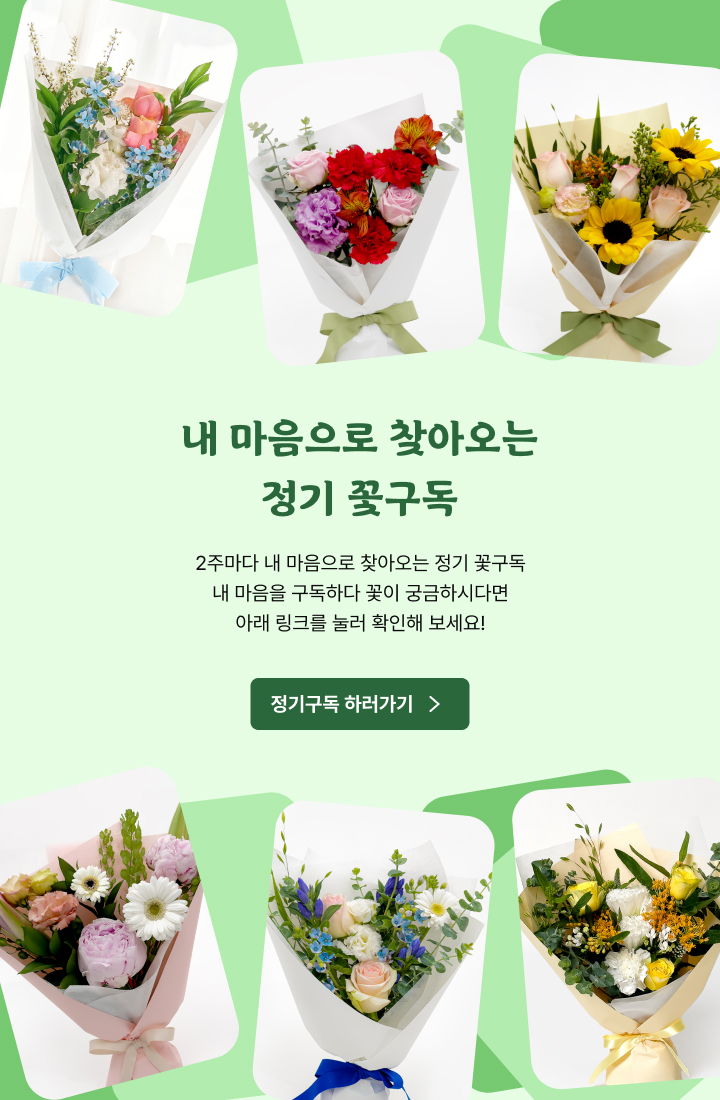 정기구독 안내