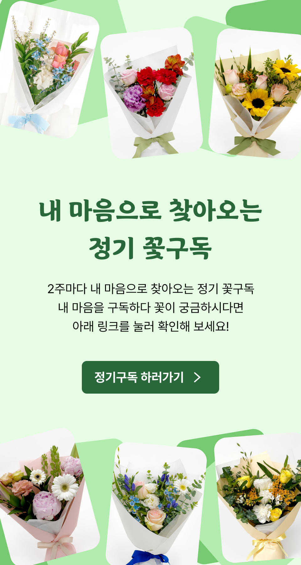 정기구독 안내
