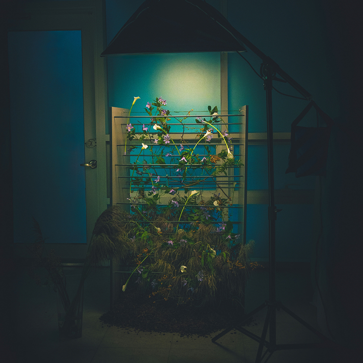 꽃집청년들 플라워아트 꽃 작품2