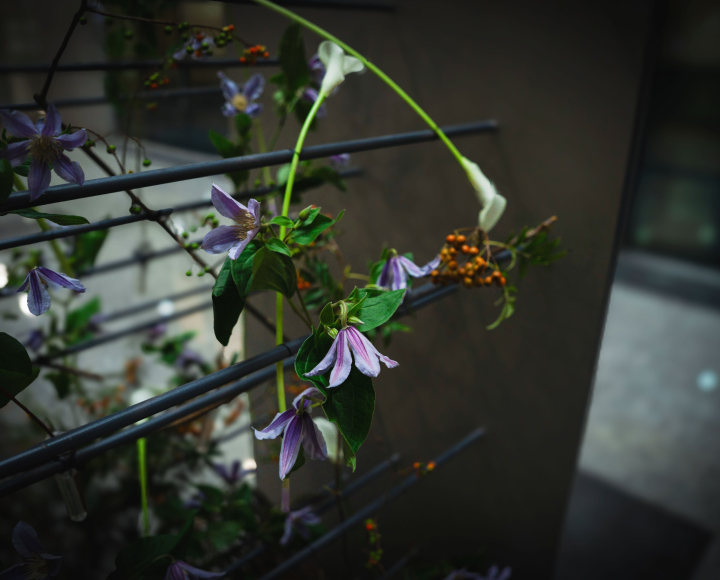 꽃집청년들 플라워 아트