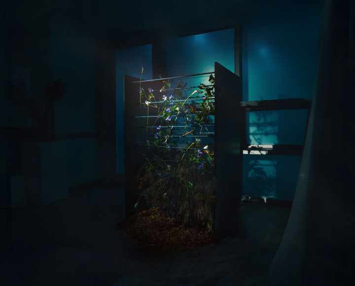 꽃집청년들 플라워 아트