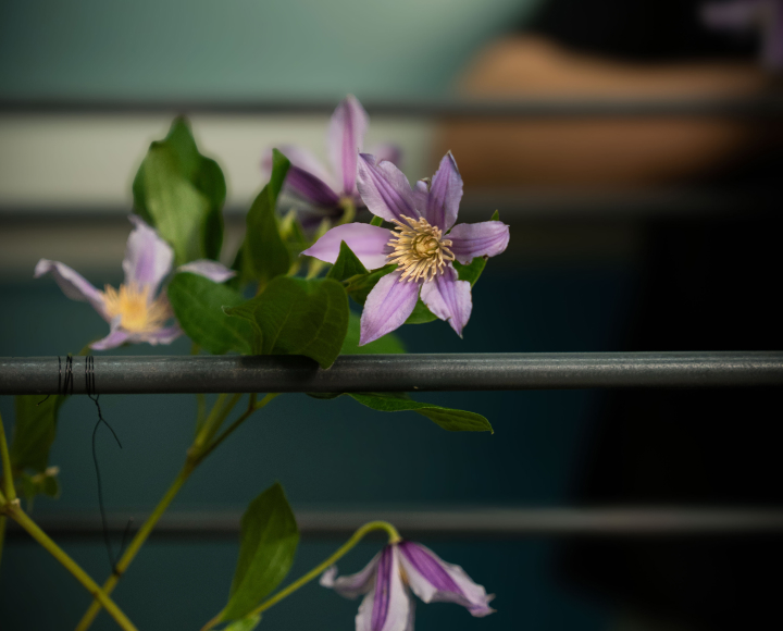 꽃집청년들 플라워 아트