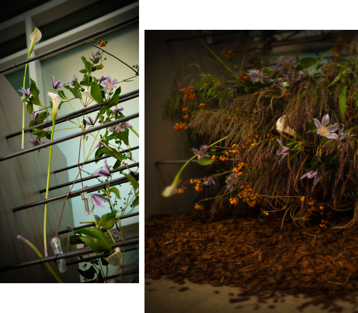 꽃집청년들 플라워 아트 작품