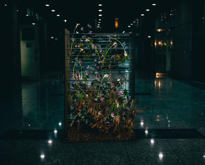 꽃집청년들 플라워 아트