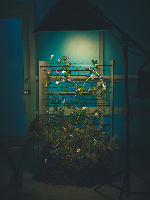 꽃집청년들 플라워아트 꽃 작품2