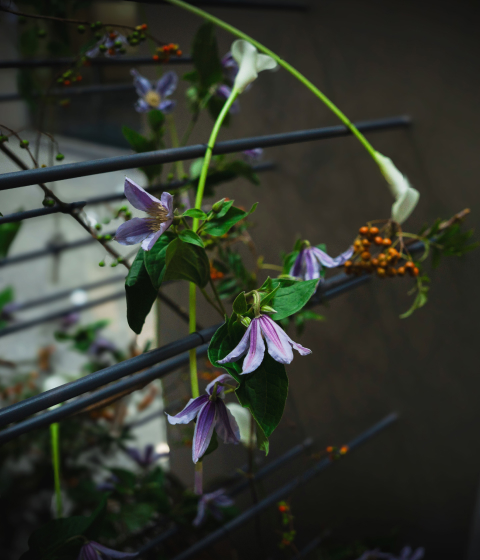 꽃집청년들 플라워 아트