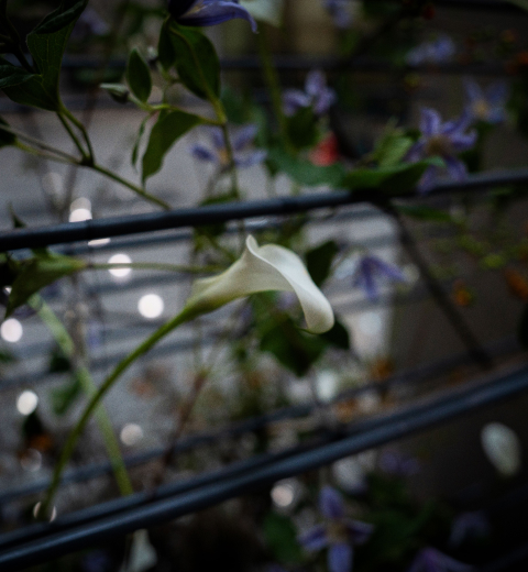 꽃집청년들 플라워 아트