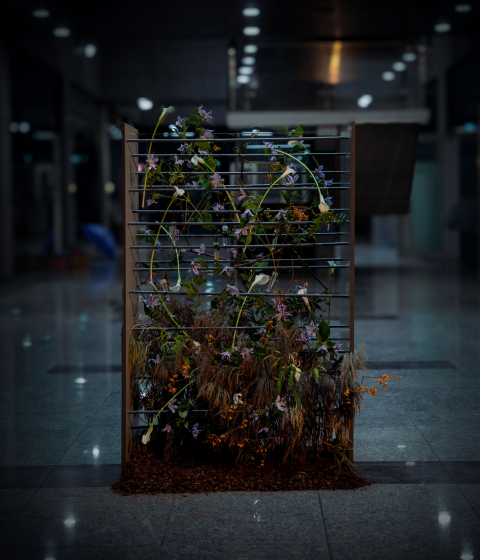 꽃집청년들 플라워 아트