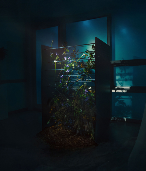 꽃집청년들 플라워 아트