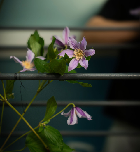 꽃집청년들 플라워 아트