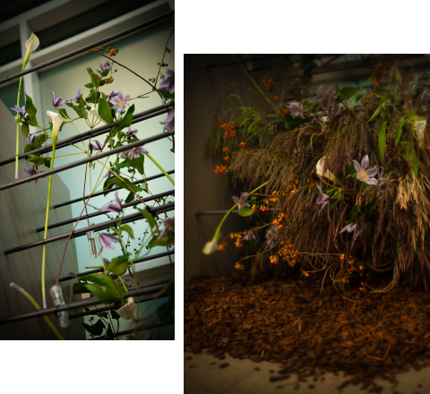 꽃집청년들 플라워 아트 작품