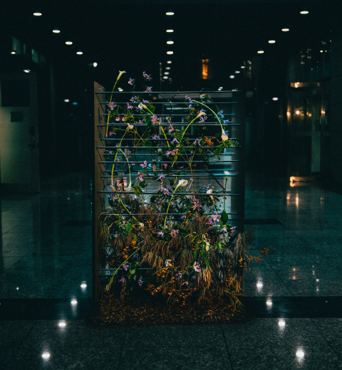 꽃집청년들 플라워 아트