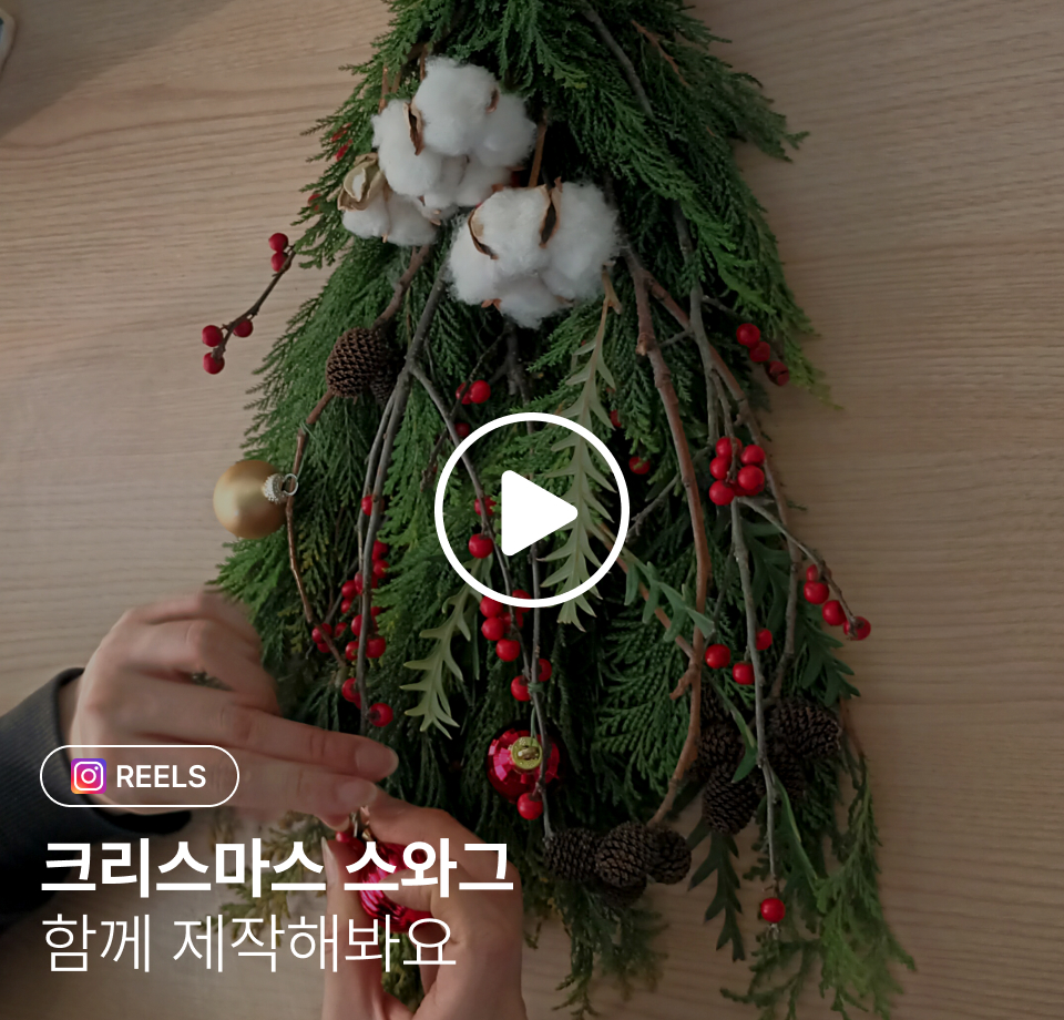 꽃집청년들 크리스마스 스와그 영상 guide