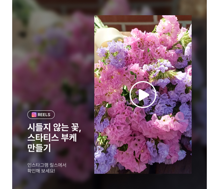 인스타그램-DIY꽃시장 스타티스 부케 만들기