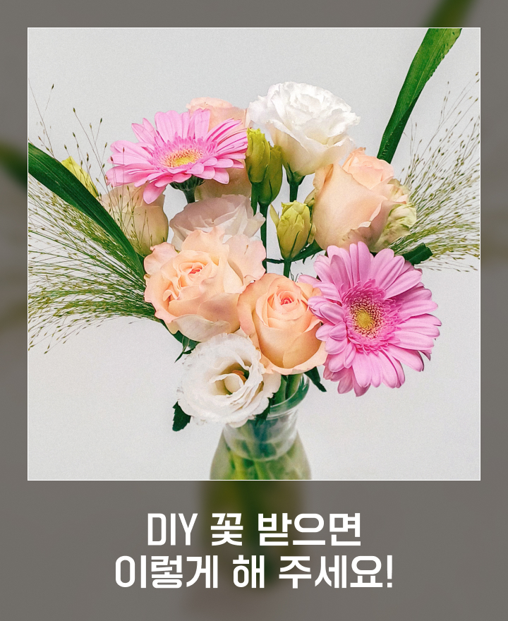 DIY 꽃시장 가이드