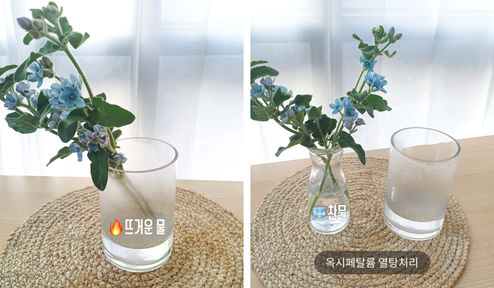 DIY 꽃시장 가이드
