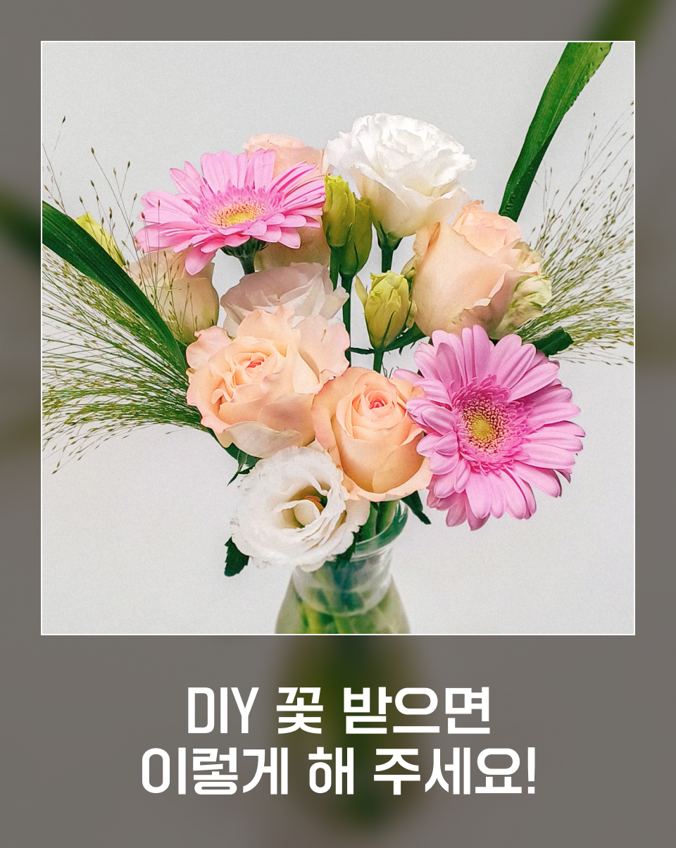 DIY 꽃시장 가이드