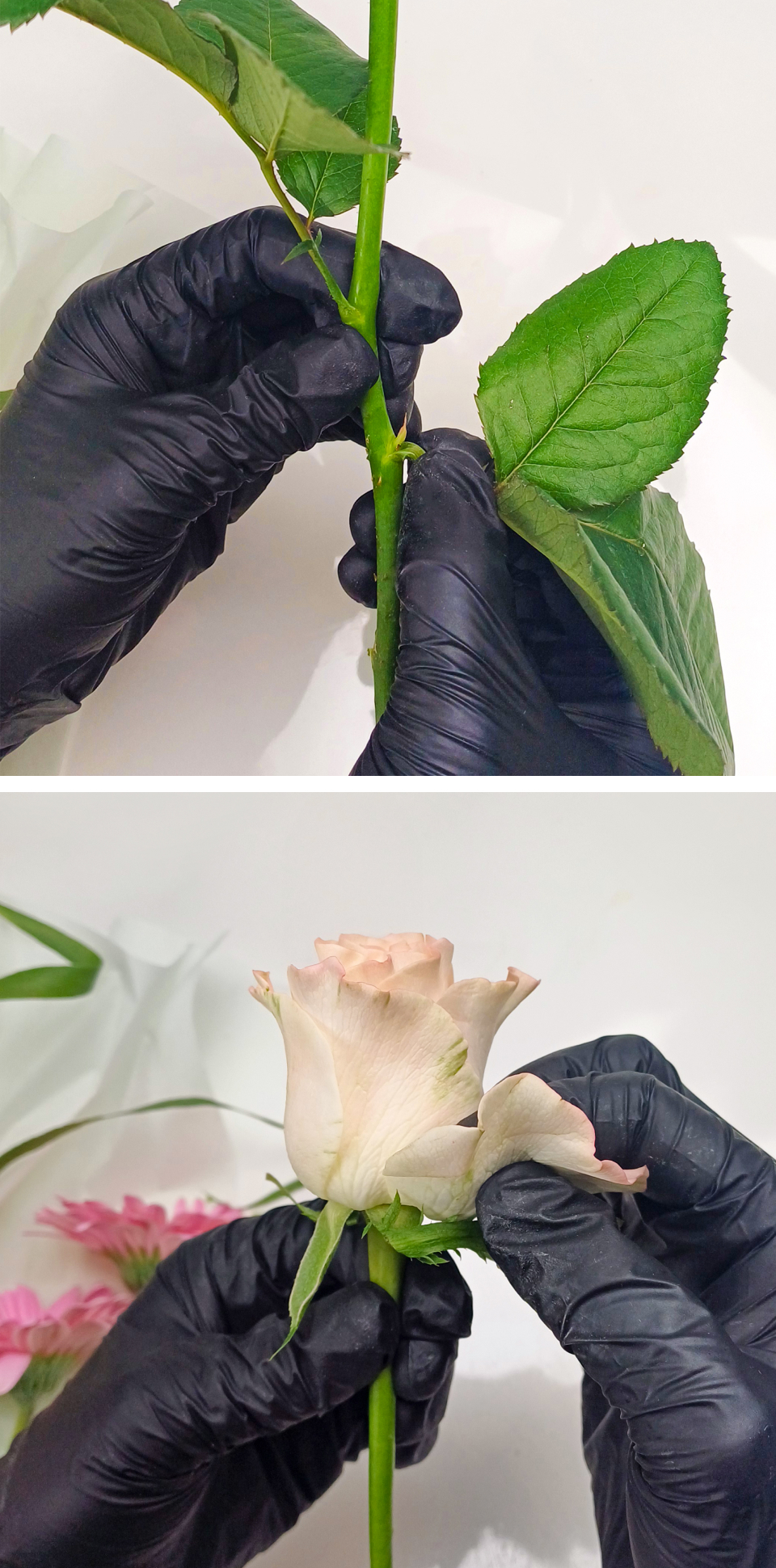 꽃에 플라워푸드 넣기