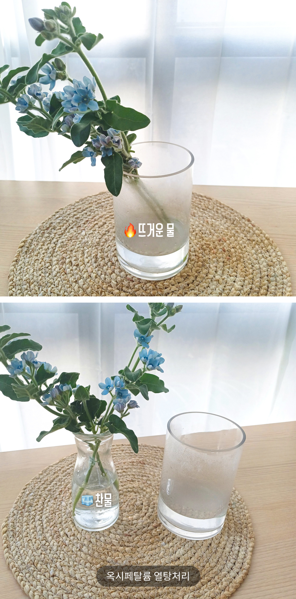 DIY 꽃시장 가이드