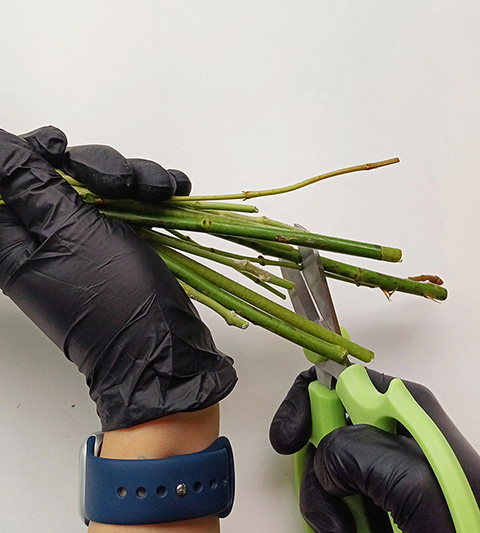 분홍 장미 꽃다발 만들기