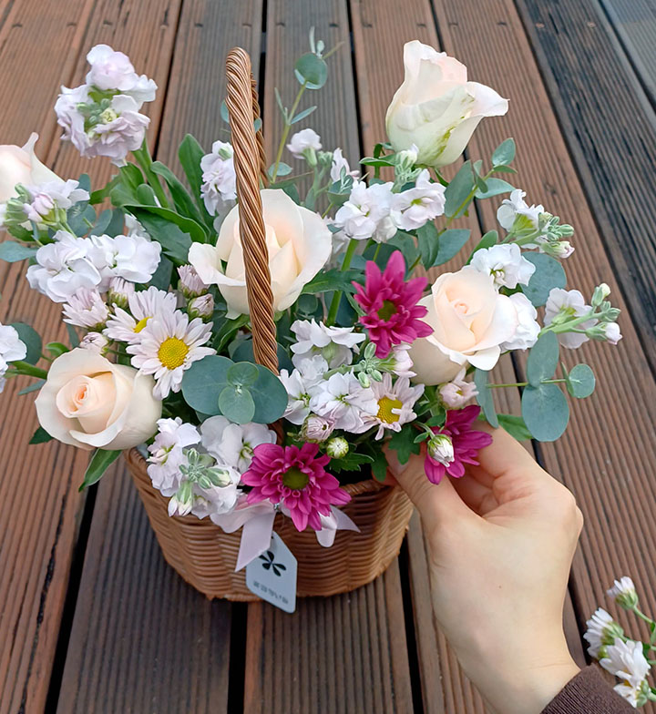 진분홍 가을 국화 소국을 빈 여백에 채워주세요