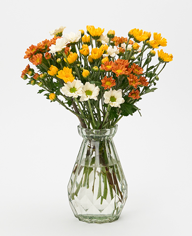 MIX 옐로우 소국