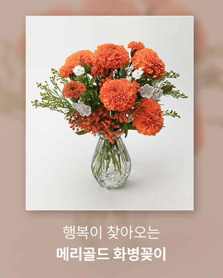 여름 꽃 메리골드 화병꽂이