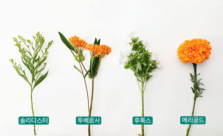 꽃집청년들 오렌지 메리골드 화병꽂이 준비물