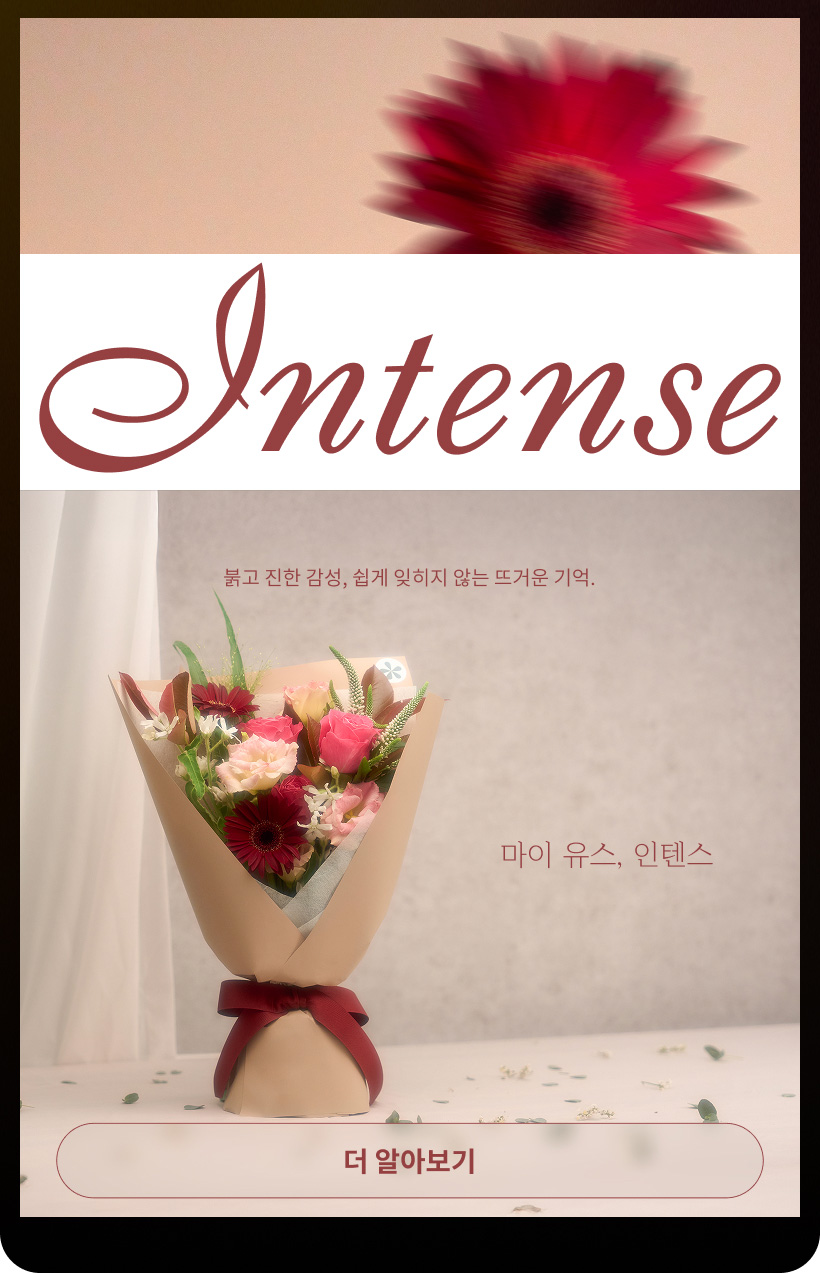마이 유스, 인텐스