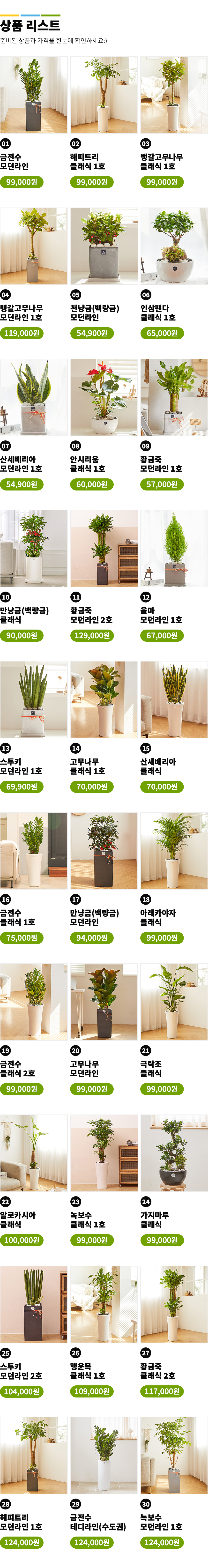 개업식 축하화분 모음전 리스트