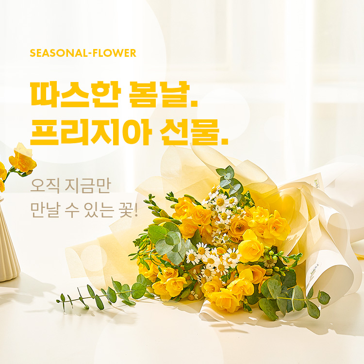 프리지아 이벤트