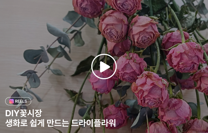꽃집청년들 장미로 드라이플라워 만드는 법 GUIDE(동영상)